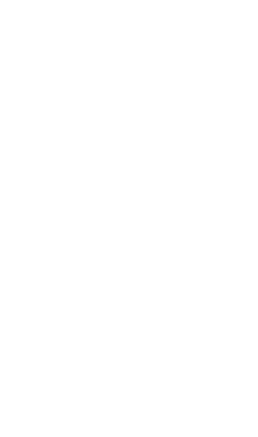 Gojo Hair